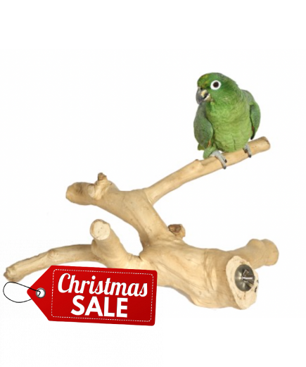 Java Wood Multibranch Perch For Parrots - Medium